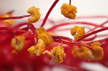 PC142585a.jpg